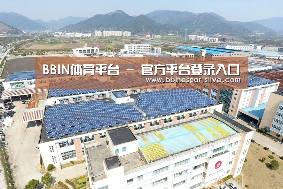 案例展示一