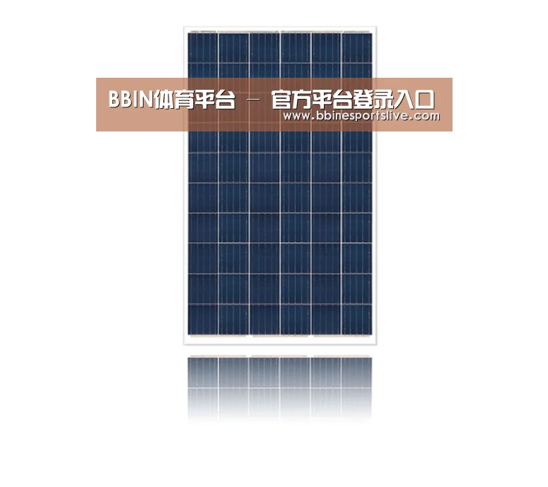 产品名称一