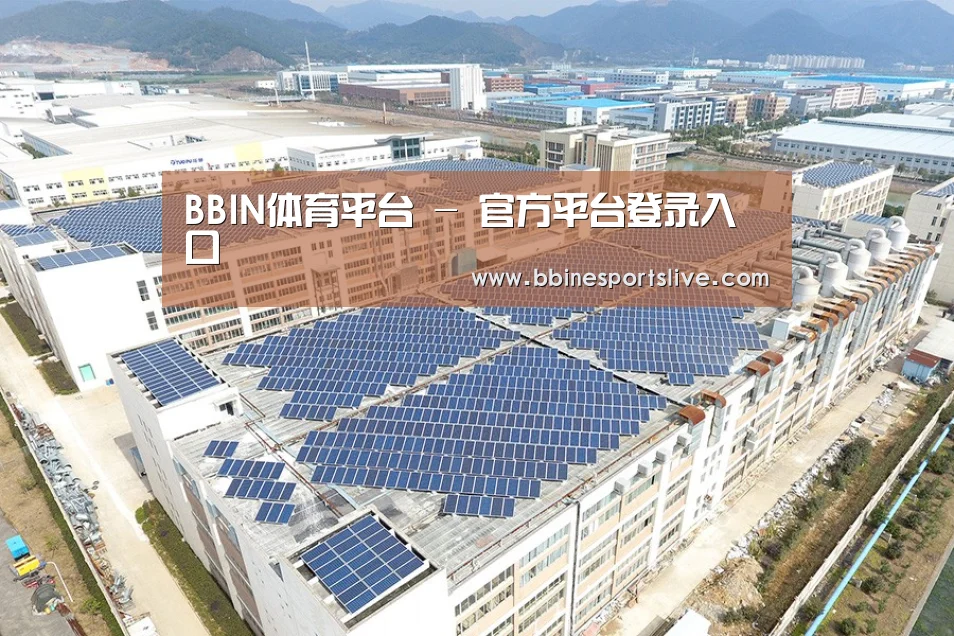 案例展示三
