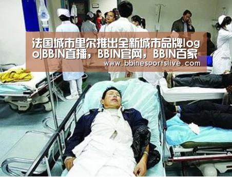 法国城市里尔推出全新城市品牌logo|BBIN直播,BBIN官网,BBIN百家乐,BBIN登录(图3) BBIN直播,BBIN官网,BBIN百家乐,BBIN登录