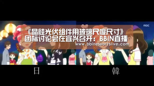 《晶硅光伏组件用玻璃尺度尺寸》团标讨论会在宜兴召开:BBIN直播,BBIN官网,BBIN百家乐,BBIN登录(图5) BBIN直播,BBIN官网,BBIN百家乐,BBIN登录