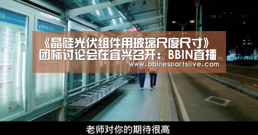 《晶硅光伏组件用玻璃尺度尺寸》团标讨论会在宜兴召开:BBIN直播,BBIN官网,BBIN百家乐,BBIN登录(图4) BBIN直播,BBIN官网,BBIN百家乐,BBIN登录