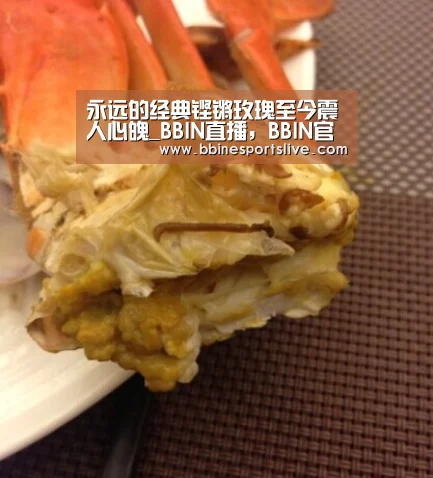 BBIN直播，BBIN官网，BBIN百家乐，BBIN登录