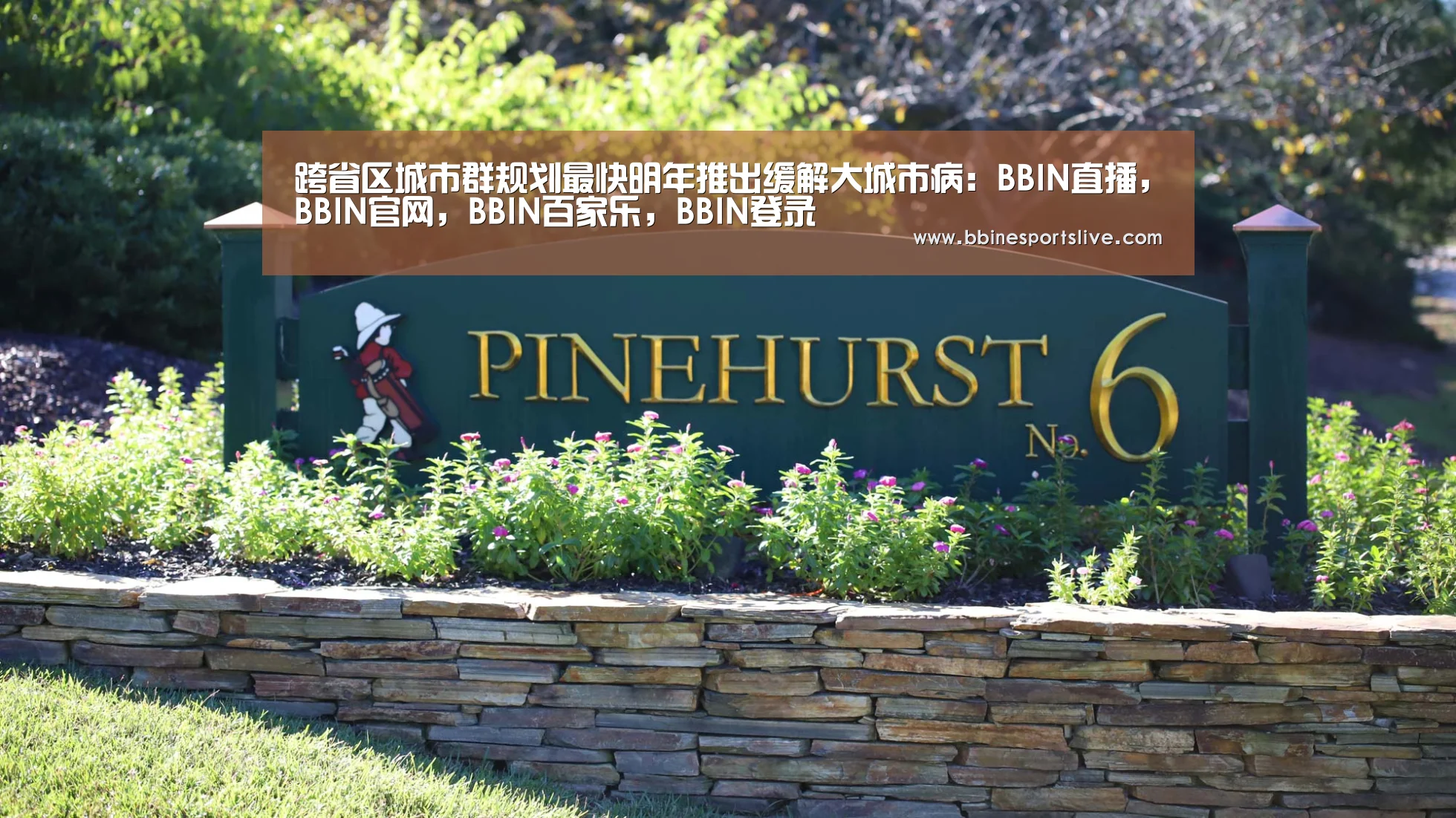 BBIN直播，BBIN官网，BBIN百家乐，BBIN登录