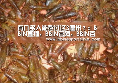 BBIN直播，BBIN官网，BBIN百家乐，BBIN登录