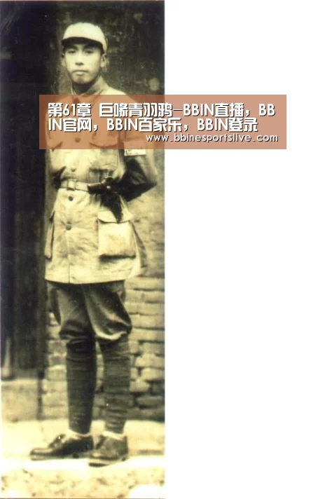 第61章 巨喙青羽鸦-BBIN直播,BBIN官网,BBIN百家乐,BBIN登录(图3) BBIN直播,BBIN官网,BBIN百家乐,BBIN登录